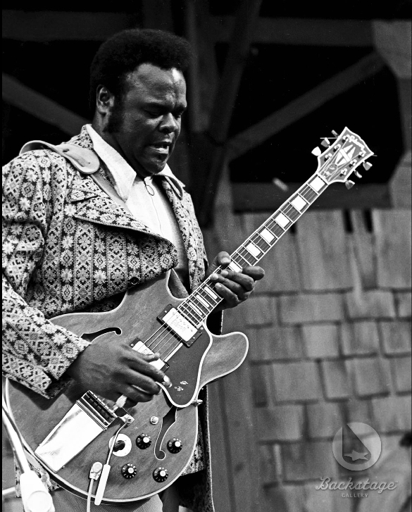 Artist Profile Freddie King Pictures