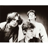 the icicle works music listen free on jango pictures videos icicle works